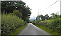 Minor road near Plas Tirion