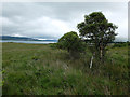 Wet ground south of Rubha Mor