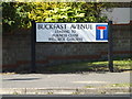 Buckfast Avenue sign