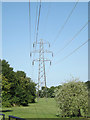TL0652 : Electricity Pylon in Mowsbury Park by Geographer
