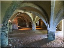 SU3226 : Arches in the Cellarium by Bill Nicholls