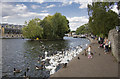 SU9677 : The River Thames, Windsor by Rossographer