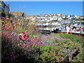 Summer Flower Bed Brixham Harbour