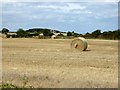 TG1242 : Farmland East of Weybourne by David Dixon