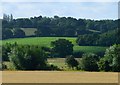 Pastoral scene, Stanford Dingley, Berkshire