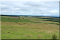 NX3050 : Moorland on Gallows Hill by Billy McCrorie