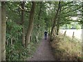 The Trans Pennine Trail at Silkstone Common