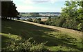 Field beside Nanny Parson