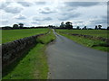 Minor road towards Mirlaw House