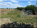 TL0994 : Field margin and farmland near Elton by Richard Humphrey