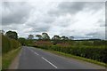 A glimpse of the roofs of Low Mowthorpe cottages