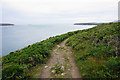 SM7124 : Pembrokeshire Coast Path above Ramsey Sound by Bill Boaden