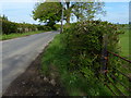 Lane heading towards Upper Boddington