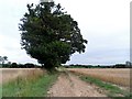 Bridleway to Troyes Farm