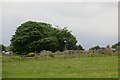 ND1429 : Ruins near Dunbeath by Richard Webb