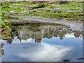 Rock Pool Reflections