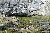 SD8964 : Malham Beck emerging from a cave by N Chadwick
