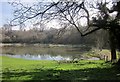 Pond at  Upper End, Eastington