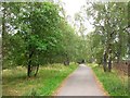 Path, Aviemore