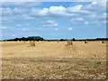 Harvested field, former RAF Birch