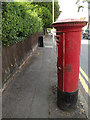 Maple Road George V Postbox