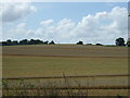 Farmland off the A602 near Hitchin