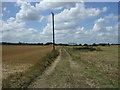 Farm track off Bedford Road