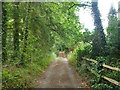 Public bridleway west from Crooksbury Road