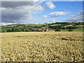 View towards Mount Pleasant and Leavening