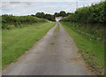 Entrance drive to Ty-hen, Clunderwen