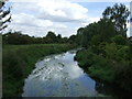 The River Ivel, Langford