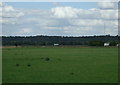 Grazing, Upper Caldecote