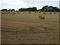 Stubble field with bales