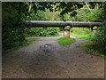 Pipeline, Scrase Valley Nature Reserve