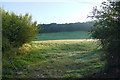 Fields at Lower Corry