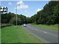 Park Way (A602)