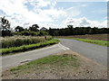 The road to Guidepost Plantation in the distance