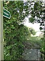 A footbridge of railway sleepers over the ditch