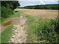 Field next to Hill Farm