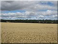 Arable land west of Fishwick