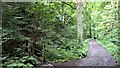 Footbridge over Cotton Brook