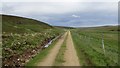 Road, Dalganachan