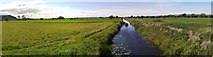 ST4233 : King's Sedgemoor Drain, looking west by Rob Purvis