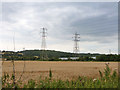 Pylons east of Low Hill Road