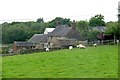 Sheep grazing at Edgewells Farm