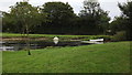 Pond with boat and duck house