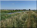 TL5072 : Ouse Valley Way by Hugh Venables
