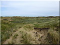 SD2911 : Slacks between dunes on Ainsdale Nature Reserve by Raymond Knapman