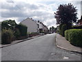 Foxholes Lane - viewed from Rose Farm Approach