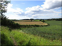 SE7865 : Bridleway west of Burythorpe by Jonathan Thacker